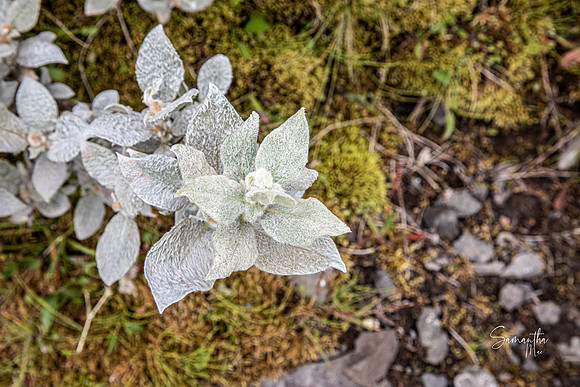 8Y5A0482
