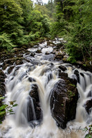 Scotland