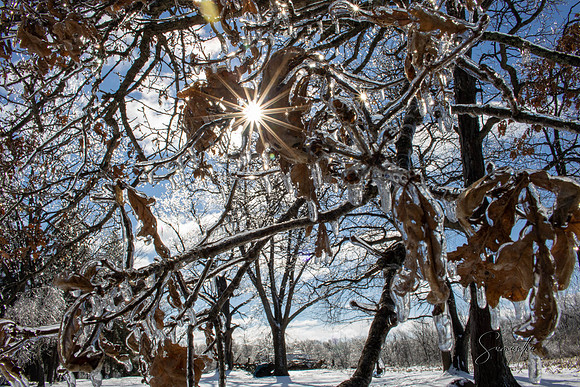 IMG_3287-HDR