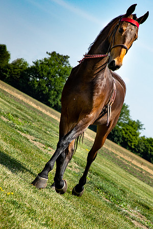 8Y5A2896-Edit