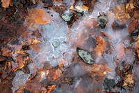 20211125-SMO_0654