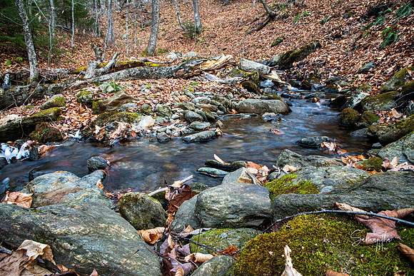 20211125-SMO_0663