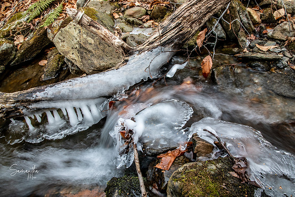 20211125-SMO_0673-HDR