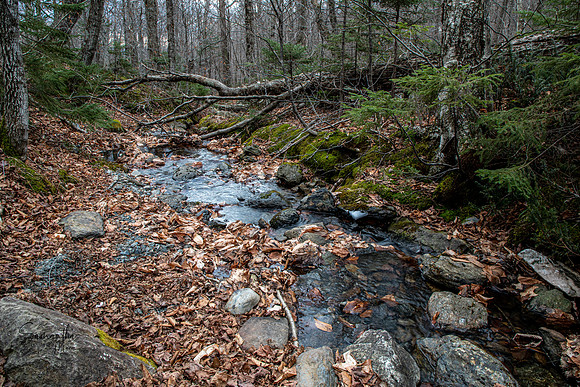 20211125-SMO_0688-HDR