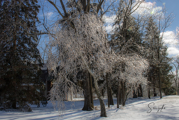 IMG_3296-HDR