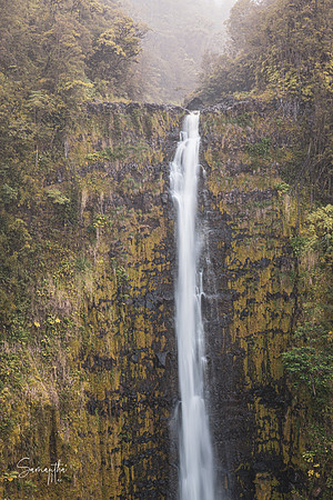 SMO_7479-HDR