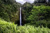 SMO_7416-HDR