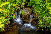 SMO_7506-HDR